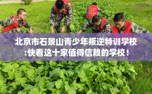 北京市石景山青少年叛逆特训学校:快看这十家值得信赖的学校！
