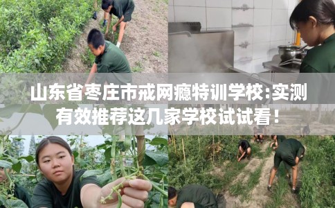 山东省枣庄市戒网瘾特训学校:实测有效推荐这几家学校试试看！