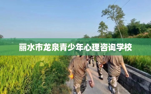 丽水市龙泉青少年心理咨询学校 丽水市龙泉青少年心理咨询学校