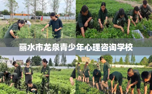 丽水市龙泉青少年心理咨询学校 丽水市龙泉青少年心理咨询学校