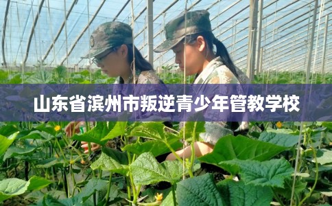 山东省滨州市叛逆青少年管教学校 山东省滨州市叛逆青少年管教学校