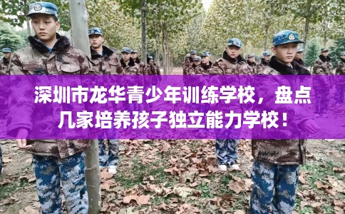 深圳市龙华青少年训练学校,盘点几家培养孩子独立能力学校! 深圳市龙华青少年训练学校,盘点几家培养孩子独立能力学校!