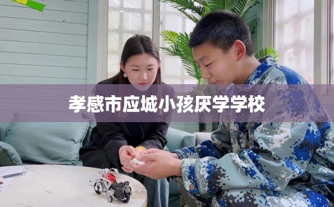 孝感市应城小孩厌学学校