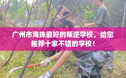 广州市海珠最好的叛逆学校，给您推荐十家不错的学校！