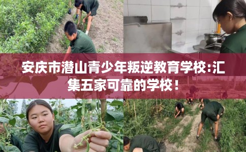 安庆市潜山青少年叛逆教育学校:汇集五家可靠的学校！