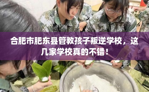 合肥市肥东县管教孩子叛逆学校,这几家学校真的不错! 合肥市肥东县管教孩子叛逆学校,这几家学校真的不错!