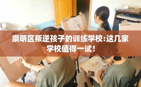 崇明区叛逆孩子的训练学校:这几家学校值得一试！