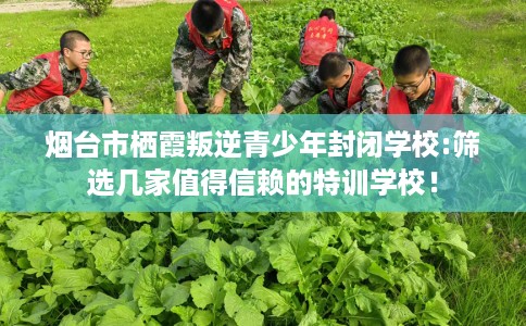 烟台市栖霞叛逆青少年封闭学校:筛选几家值得信赖的特训学校! 烟台市栖霞叛逆青少年封闭学校:筛选几家值得信赖的特训学校!