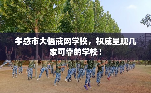 孝感市大悟戒网学校，权威呈现几家可靠的学校！