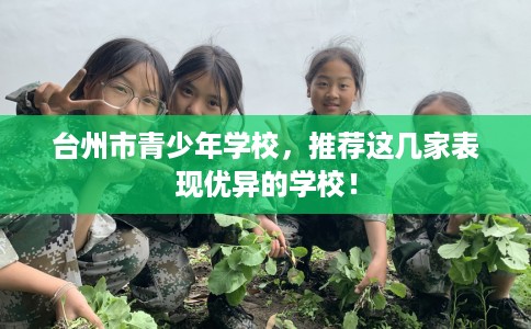 台州市青少年学校,推荐这几家表现优异的学校! 台州市青少年学校,推荐这几家表现优异的学校!