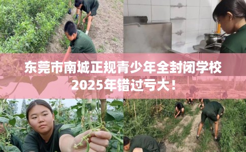 东莞市南城正规青少年全封闭学校2025年错过亏大！