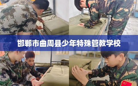 邯郸市曲周县少年特殊管教学校 邯郸市曲周县少年特殊管教学校