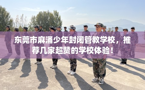 东莞市麻涌少年封闭管教学校，推荐几家超赞的学校体验！