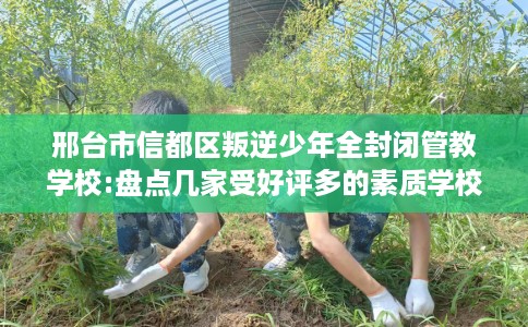 邢台市信都区叛逆少年全封闭管教学校:盘点几家受好评多的素质学校 邢台市信都区叛逆少年全封闭管教学校:盘点几家受好评多的素质学校
