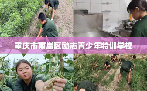 重庆市南岸区励志青少年特训学校 重庆市南岸区励志青少年特训学校