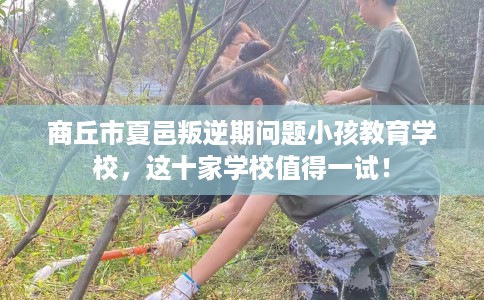 商丘市夏邑叛逆期问题小孩教育学校，这十家学校值得一试！