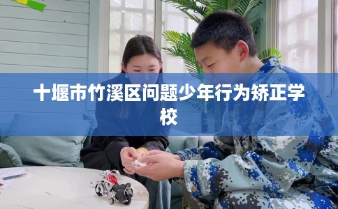 十堰市竹溪区问题少年行为矫正学校 十堰市竹溪区问题少年行为矫正学校
