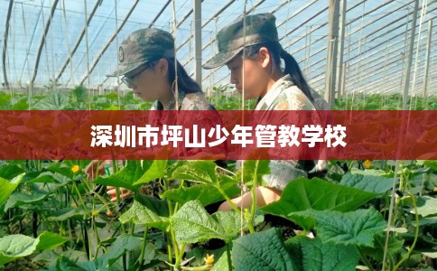 深圳市坪山少年管教学校