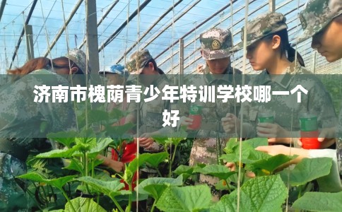 济南市槐荫青少年特训学校哪一个好