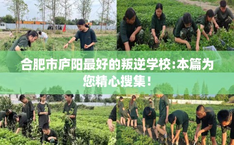 合肥市庐阳最好的叛逆学校:本篇为您精心搜集！