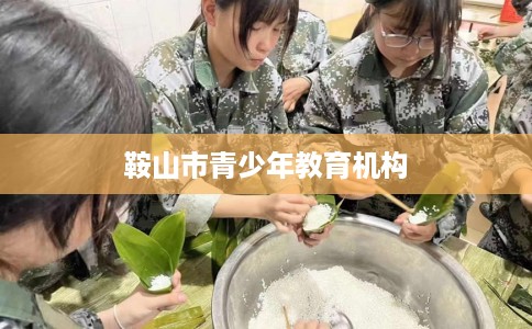 鞍山市青少年教育机构 鞍山市青少年教育机构