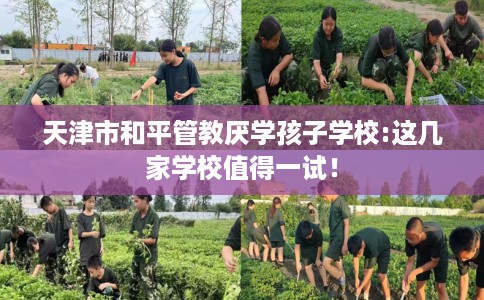 天津市和平管教厌学孩子学校:这几家学校值得一试！