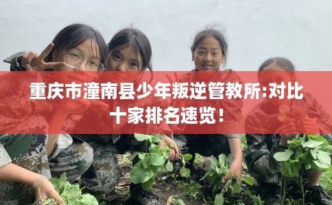 重庆市潼南县少年叛逆管教所:对比十家排名速览！