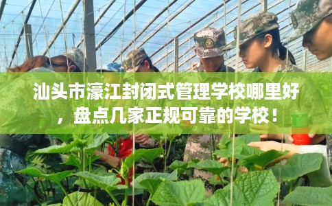 汕头市濠江封闭式管理学校哪里好，盘点几家正规可靠的学校！