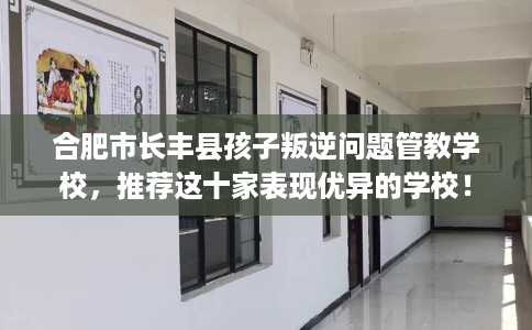 合肥市长丰县孩子叛逆问题管教学校,推荐这十家表现优异的学校! 合肥市长丰县孩子叛逆问题管教学校,推荐这十家表现优异的学校!