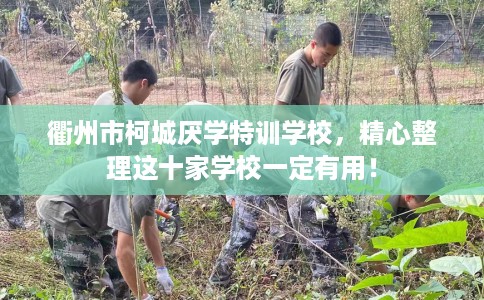 衢州市柯城厌学特训学校，精心整理这十家学校一定有用！