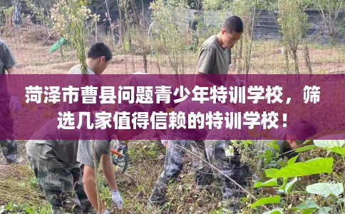 菏泽市曹县问题青少年特训学校，筛选几家值得信赖的特训学校！