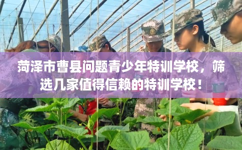菏泽市曹县问题青少年特训学校，筛选几家值得信赖的特训学校！