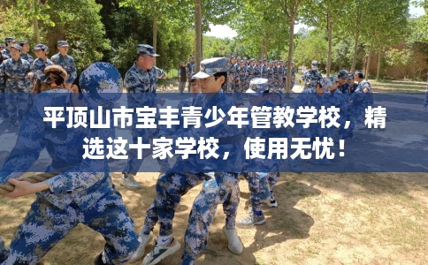 平顶山市宝丰青少年管教学校,精选这十家学校,使用无忧! 平顶山市宝丰青少年管教学校,精选这十家学校,使用无忧!