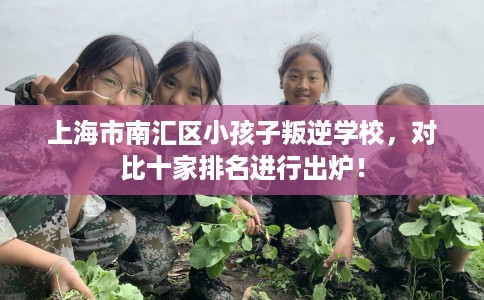 上海市南汇区小孩子叛逆学校,对比十家排名进行出炉! 上海市南汇区小孩子叛逆学校,对比十家排名进行出炉!