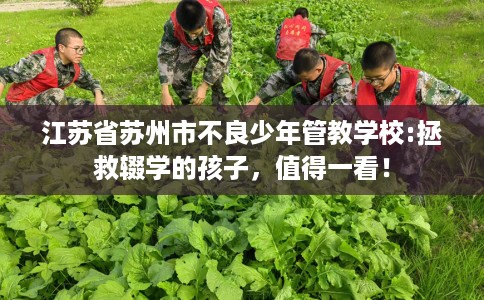 江苏省苏州市不良少年管教学校:拯救辍学的孩子，值得一看！