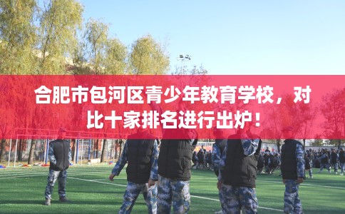 合肥市包河区青少年教育学校,对比十家排名进行出炉! 合肥市包河区青少年教育学校,对比十家排名进行出炉!