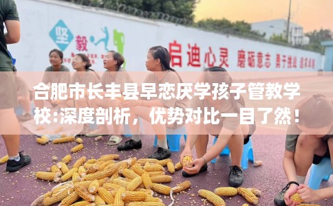 合肥市长丰县早恋厌学孩子管教学校:深度剖析，优势对比一目了然！