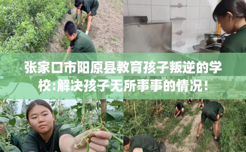 张家口市阳原县教育孩子叛逆的学校:解决孩子无所事事的情况！