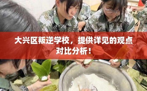 大兴区叛逆学校,提供详见的观点对比分析! 大兴区叛逆学校,提供详见的观点对比分析!