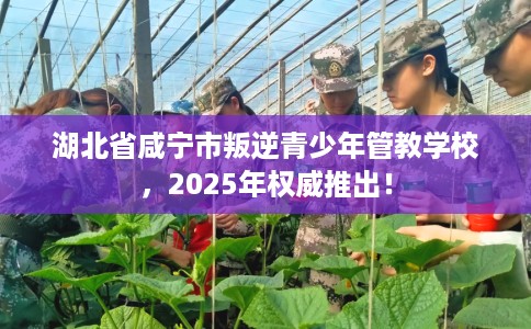 湖北省咸宁市叛逆青少年管教学校，2025年权威推出！