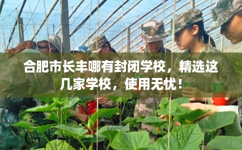 合肥市长丰哪有封闭学校，精选这几家学校，使用无忧！