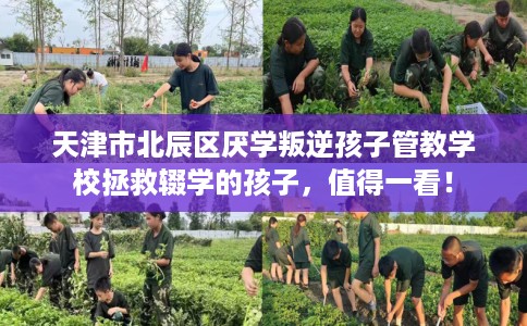 天津市北辰区厌学叛逆孩子管教学校拯救辍学的孩子,值得一看! 天津市北辰区厌学叛逆孩子管教学校拯救辍学的孩子,值得一看!