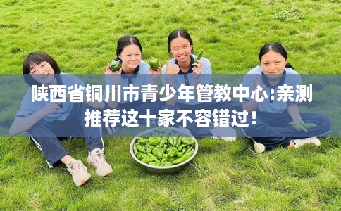 陕西省铜川市青少年管教中心:亲测推荐这十家不容错过！