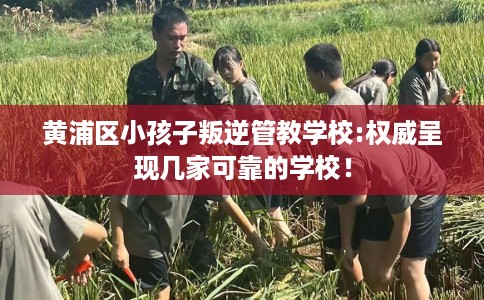 黄浦区小孩子叛逆管教学校:权威呈现几家可靠的学校! 黄浦区小孩子叛逆管教学校:权威呈现几家可靠的学校!