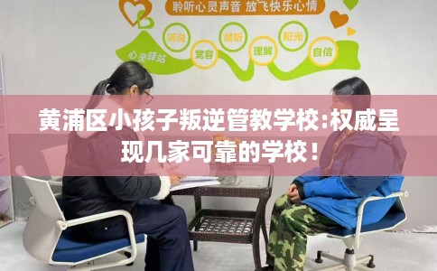 黄浦区小孩子叛逆管教学校:权威呈现几家可靠的学校！