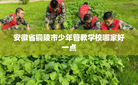 安徽省铜陵市少年管教学校哪家好一点