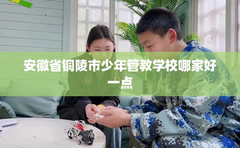 安徽省铜陵市少年管教学校哪家好一点