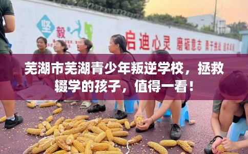 芜湖市芜湖青少年叛逆学校,拯救辍学的孩子,值得一看! 芜湖市芜湖青少年叛逆学校,拯救辍学的孩子,值得一看!