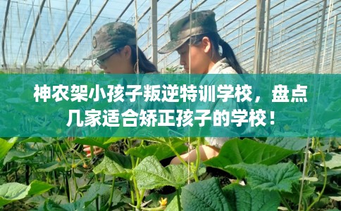 神农架小孩子叛逆特训学校,盘点几家适合矫正孩子的学校! 神农架小孩子叛逆特训学校,盘点几家适合矫正孩子的学校!