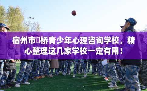宿州市埇桥青少年心理咨询学校，精心整理这几家学校一定有用！